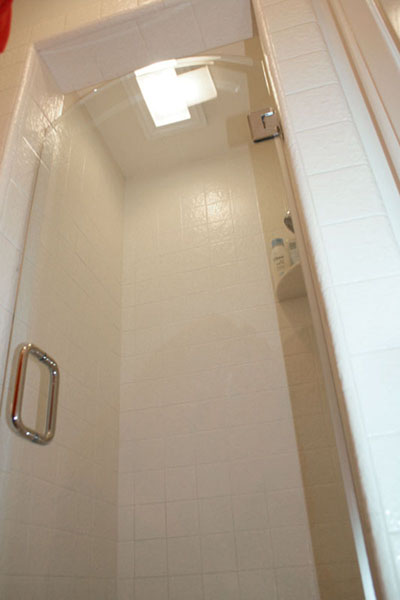 Glass, Frameless Shower Doors